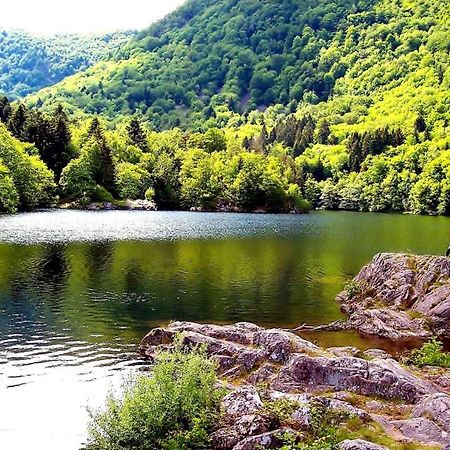 Appartement Cosy Sur Masevaux Екстериор снимка